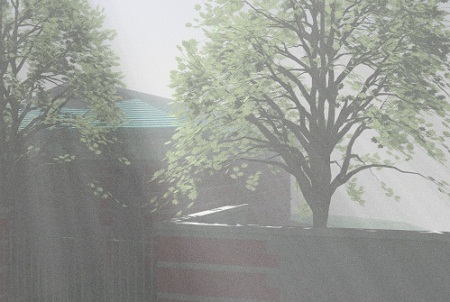 Fog013-clipped.jpg