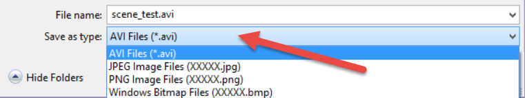 Select animation output format.png