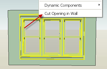 Cut-openng.jpg
