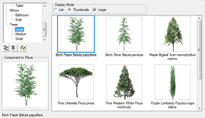 Large Trees.jpg