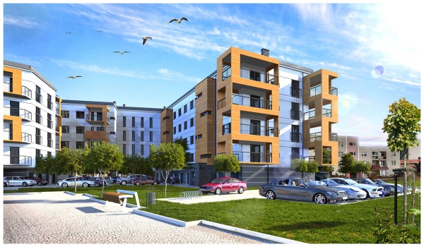 2020 Mar RotM winner.jpg