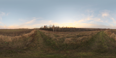 Evening Field.png