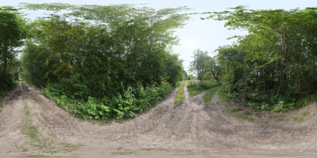 2021 Dec HDRi Lush Dirt Path.png