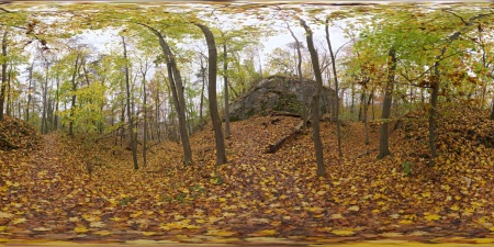 Autumn Forest 01.jpg