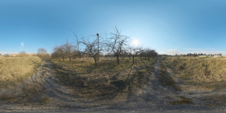 2021 Jul abandoned pathway.jpg