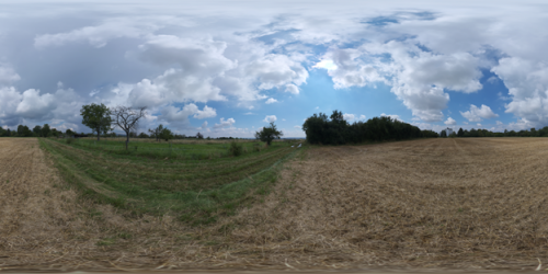 2021 Sep Newsletter Dry Hay Field.png