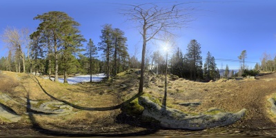 Bergen.jpg