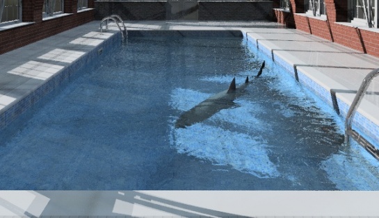 Swim Enclosure-marble-9-31.jpg