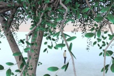 Tree-w-IRender.jpg