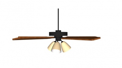 Brown ceiling fan.jpg