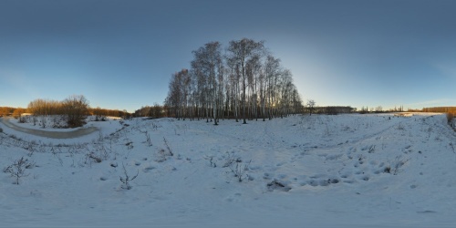 Birchwood.jpg
